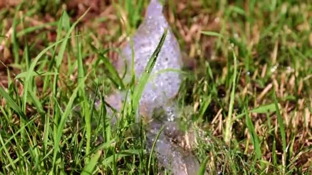 écoulement d'eau et pelouse verte 