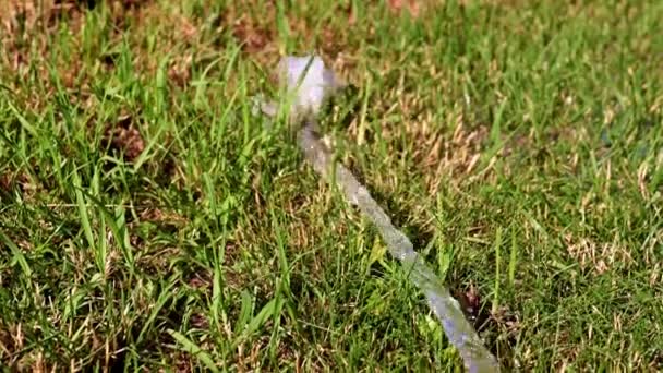 Flujo Agua Césped Hierba Verde — Vídeo de stock