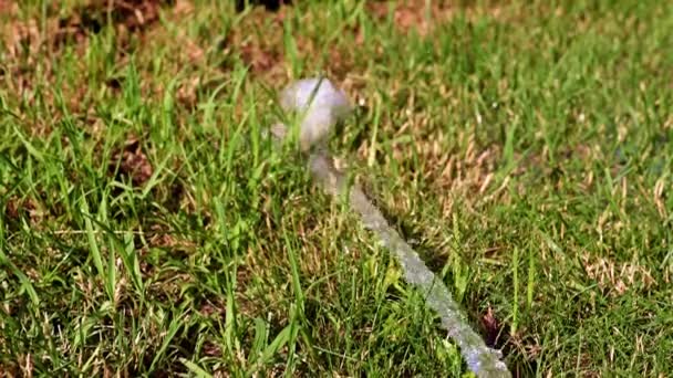 Flujo Agua Césped Hierba Verde — Vídeo de stock