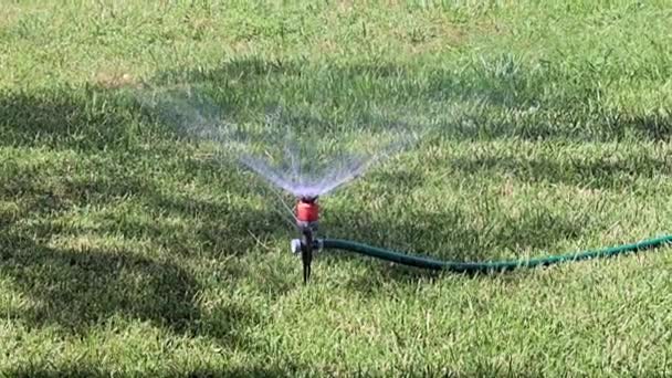 Wasser Auf Die Oberfläche Des Rasens Sprühen — Stockvideo