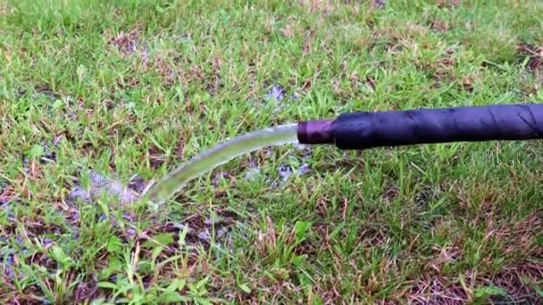 Stream Clean Water Rubber Hose — Stock Video