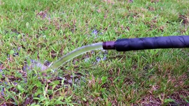 Stream Clean Water Rubber Hose — Stock Video