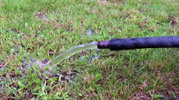 Stream Clean Water Rubber Hose — Stock Video