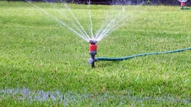公園の芝生に水をやるとき きれいな水が噴霧器を通って流れる — ストック動画