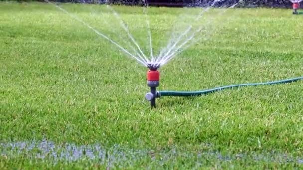 清洁的水流过喷雾器时 浇灌公园的草坪 — 图库视频影像