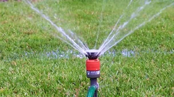 公園の芝生に水をやるとき きれいな水が噴霧器を通って流れる — ストック動画