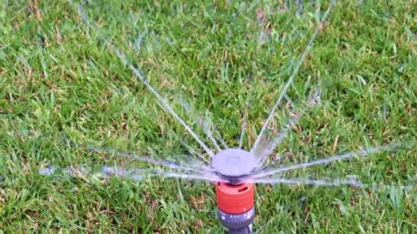 清洁的水流过喷雾器时 浇灌公园的草坪 — 图库视频影像