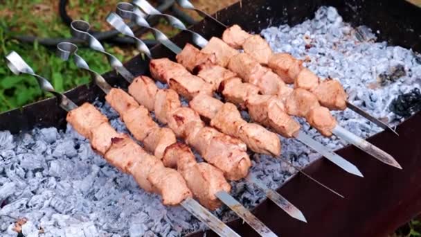 Cooking Skewers Meat Grill — Stock Video