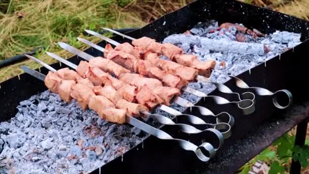 Cozinhando Espetos Carne Grelha — Vídeo de Stock