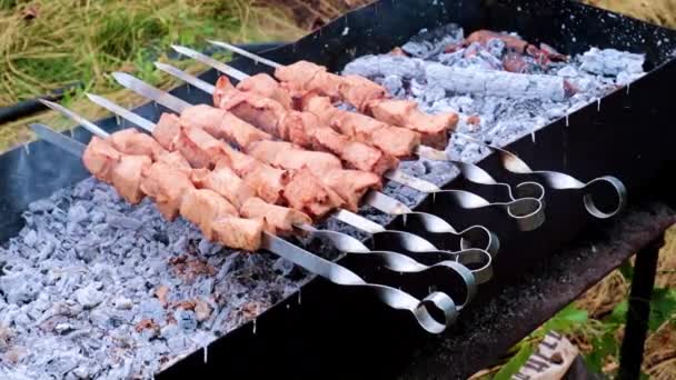 Cooking Skewers Meat Grill — Stock Video