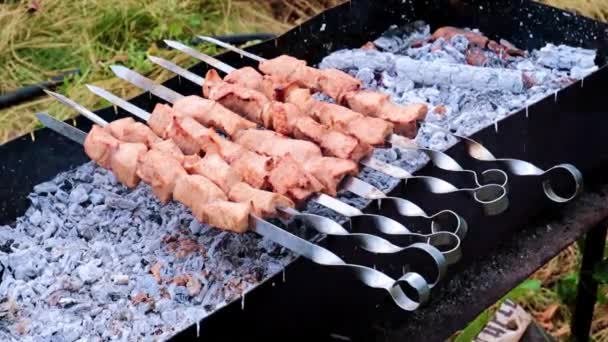 Cozinhando Espetos Carne Grelha — Vídeo de Stock