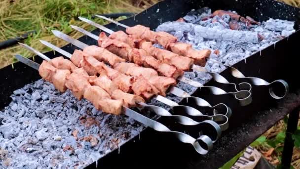 グリルで肉の串を調理する — ストック動画