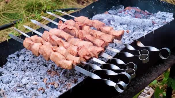 Pinchos Cocina Carne Parrilla — Vídeos de Stock