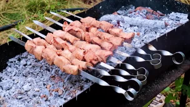 グリルで肉の串を調理する — ストック動画