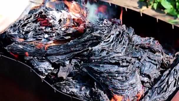 燃烧的纸张上的灰烬和火焰 — 图库视频影像