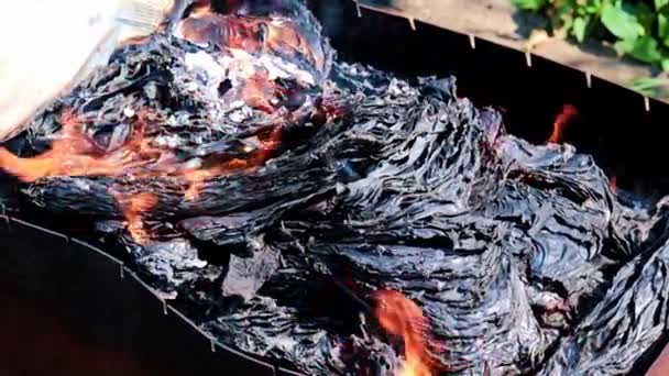 Cendres Flammes Sur Des Feuilles Papier Brûlé — Video