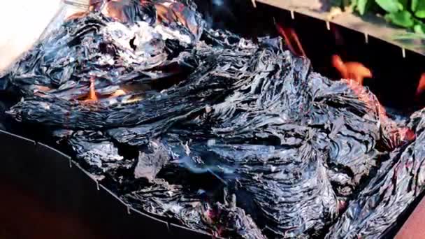 Cendres Flammes Sur Des Feuilles Papier Brûlé — Video