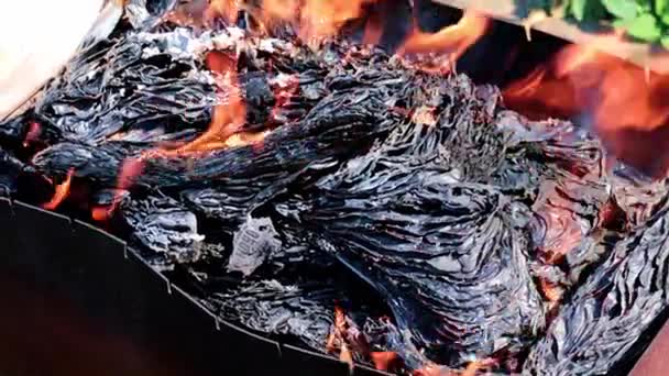 Cendres Flammes Sur Des Feuilles Papier Brûlé — Video