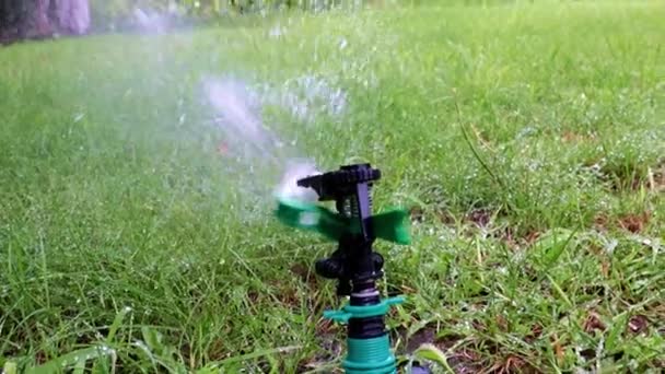 浇灌草坪时的喷雾器操作 — 图库视频影像