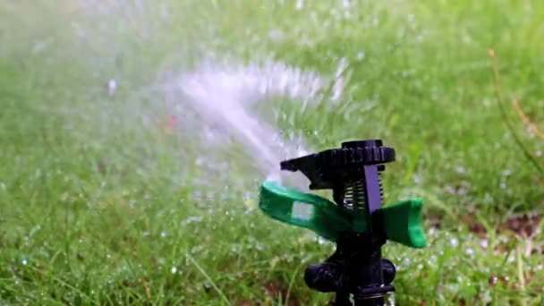 Operazione Spruzzatore Durante Irrigazione Del Prato — Video Stock