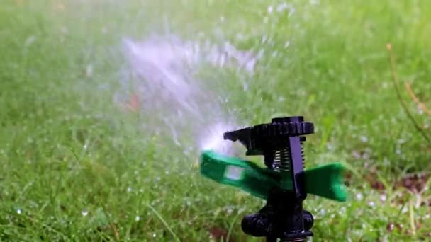 Sprayer Operation Watering Lawn — Stock Video