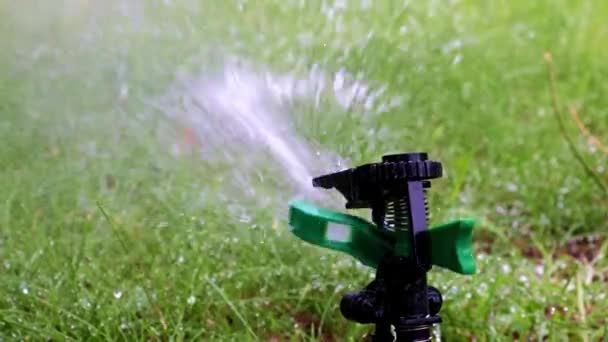 Sprayer Operation Watering Lawn — Stock Video