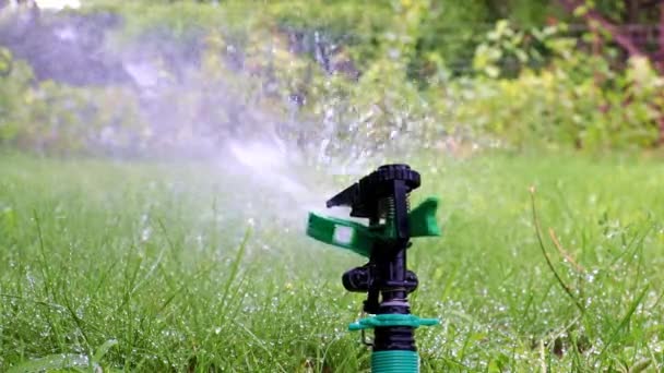 Sprayer Operation Watering Lawn — Stock Video