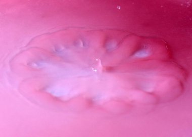 su damlası ile tuhaf desenler