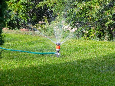 çim sulama zaman püskürtücü ile su akışı