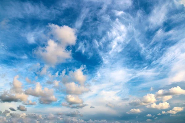 野生動物の一部として雲と晴れた空 — ストック写真