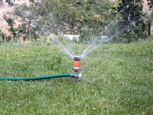 Flusso Acqua Attraverso Spruzzatore Durante Irrigazione Del Prato — Foto Stock