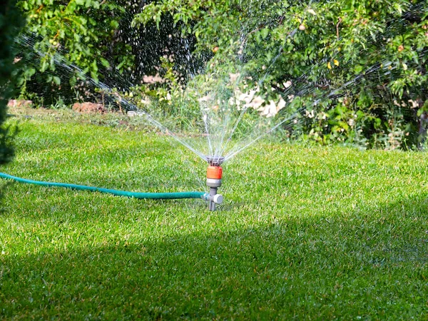 Water Stroomt Door Sproeier Bij Het Besproeien Van Het Gazon — Stockfoto