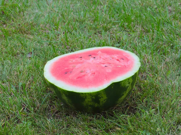 Half Ripe Juicy Watermelon Green Grass Field — Stock Photo, Image