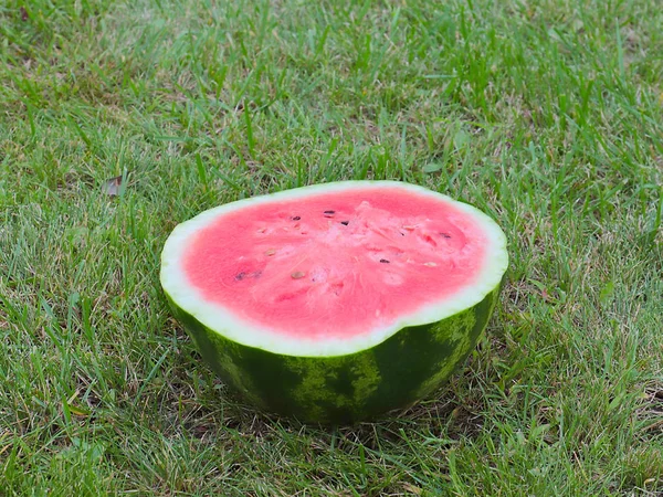 Half Ripe Juicy Watermelon Green Grass Field — Stock Photo, Image