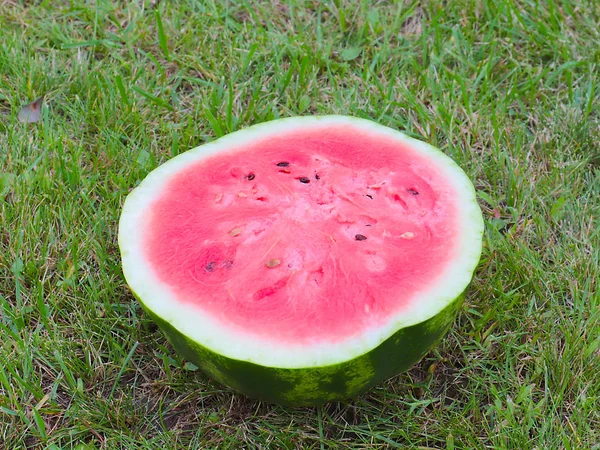 Half Ripe Juicy Watermelon Green Grass Field — Stock Photo, Image