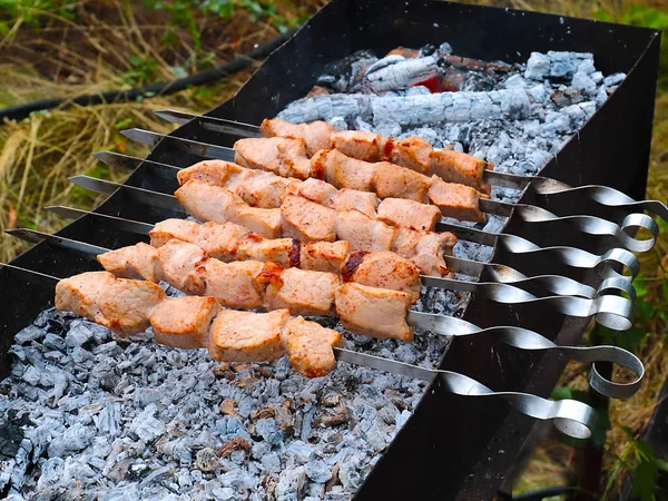 Sappige Stukjes Vlees Spiesjes Tijdens Het Koken — Stockfoto