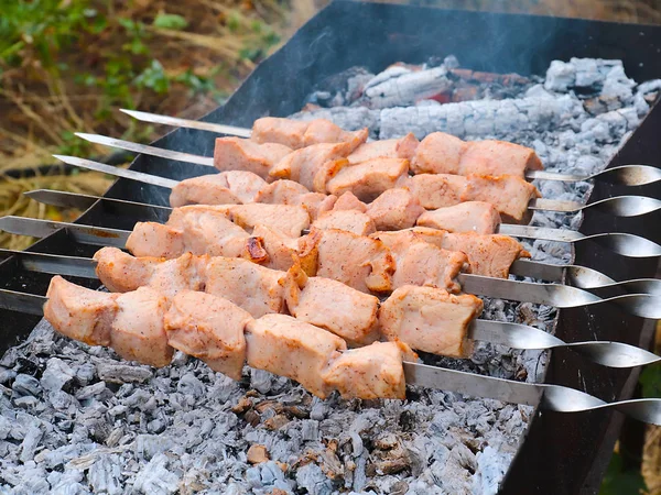 Pedaços Suculentos Carne Espetos Cozinhar — Fotografia de Stock