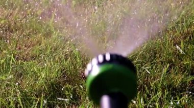 çim çim sulama plastik bir püskürtücü ile su akışı