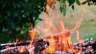 bir turist güzergahı üzerinde bir orman yangını parlak yangın ve alev
