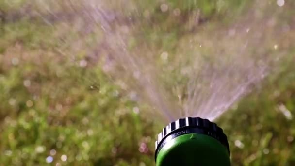 Strumień Wody Przez Opryskiwacz Plastikowy Podczas Podlewania Trawnika — Wideo stockowe