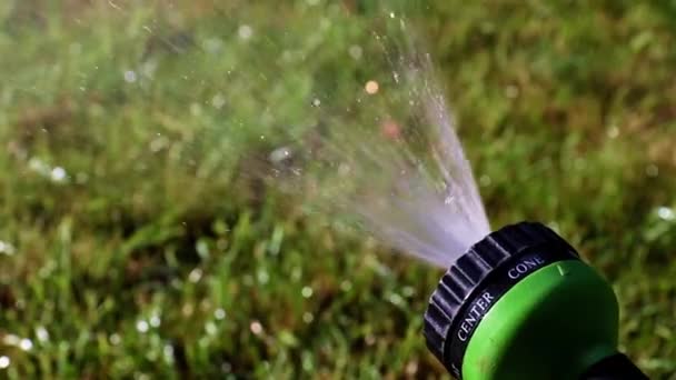 草の芝生に水をやる時のプラスチック噴霧器を通る水の流れ — ストック動画