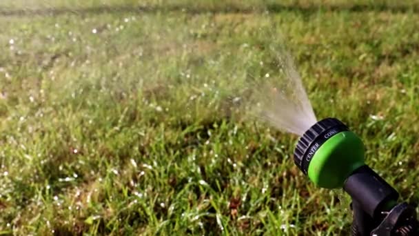 Stream Water Plastic Sprayer Watering Grass Lawn — Stock Video