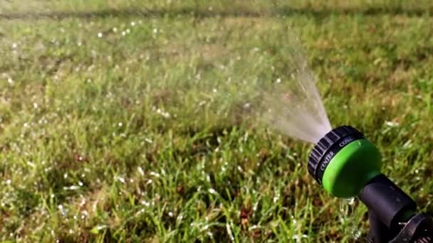 Stream Water Plastic Sprayer Watering Grass Lawn — Stock Video