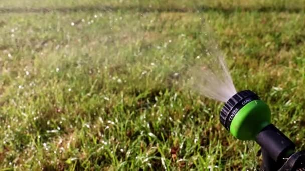 Stream Water Plastic Sprayer Watering Grass Lawn — Stock Video