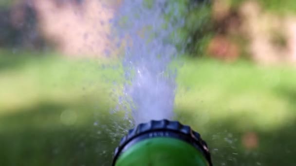 Strumień Wody Przez Opryskiwacz Plastikowy Podczas Podlewania Trawnika — Wideo stockowe