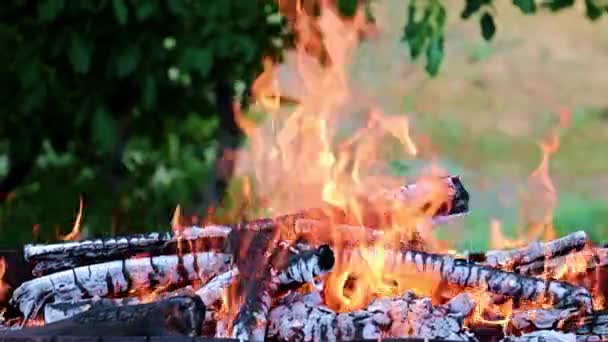 Fuego Brillante Llama Incendio Forestal Una Ruta Turística — Vídeo de stock