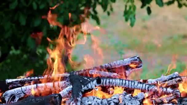 Feu Lumineux Flamme Feu Forêt Sur Une Route Touristique — Video