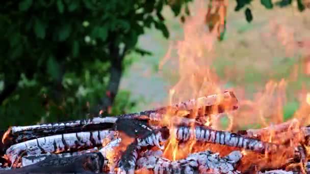 Feu Lumineux Flamme Feu Forêt Sur Une Route Touristique — Video