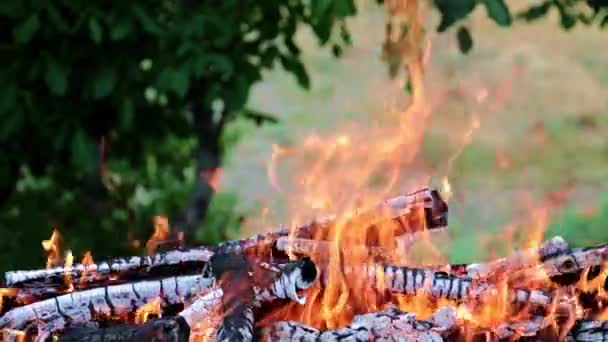 Fuego Brillante Llama Incendio Forestal Una Ruta Turística — Vídeo de stock