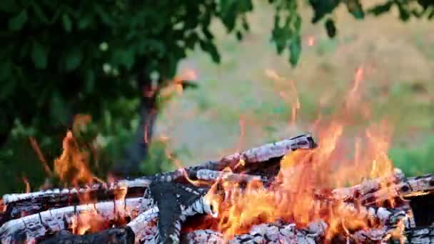 Feu Lumineux Flamme Feu Forêt Sur Une Route Touristique — Video